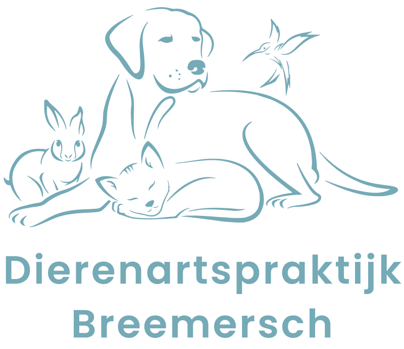 Logo dierenartspraktijk Breemersch